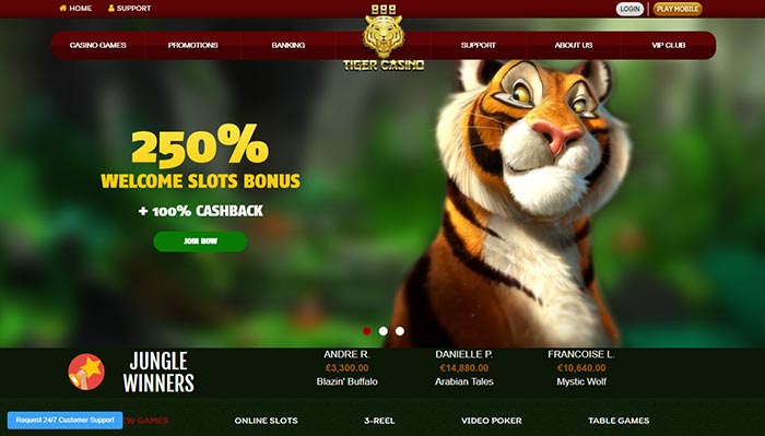 سایت شرط بندی خارجی tiger casino
